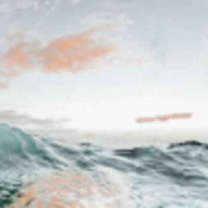 Meet your Posher, Levia